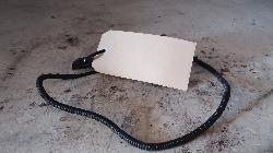 View Auto part Seatbelt/Stalk Kia Rondo 2013